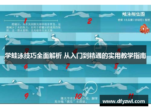 学蛙泳技巧全面解析 从入门到精通的实用教学指南