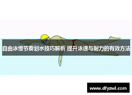 自由泳慢节奏划水技巧解析 提升泳速与耐力的有效方法