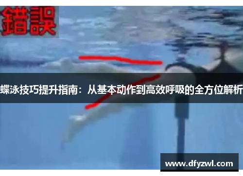 蝶泳技巧提升指南：从基本动作到高效呼吸的全方位解析